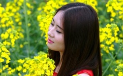 野花韩国电影免费观看在线2019